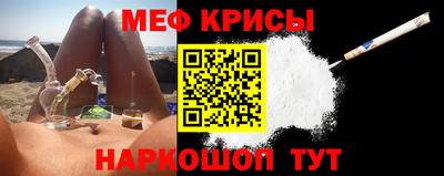 крисы Кингисепп