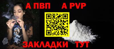 крисы Кингисепп