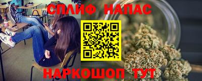 крисы Кингисепп