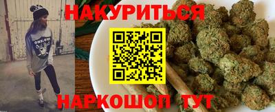 крисы Кингисепп