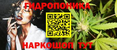 крисы Кингисепп