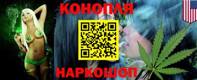 крисы Кингисепп