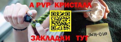 крисы Кингисепп