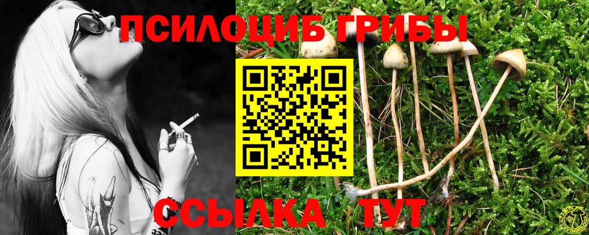 Псилоцибиновые грибы Psilocybine cubensis  Вход с VPN  Кыштым 